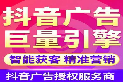 高效SEM托管公司案例对比分析